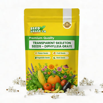 Transparent Skeleton Seeds – Diphylleia grayi