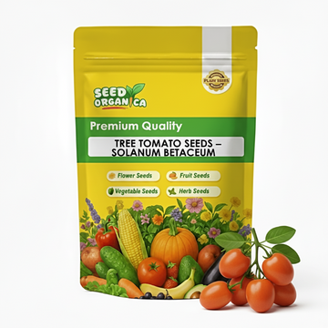 Tree Tomato Seeds – Solanum Betaceum