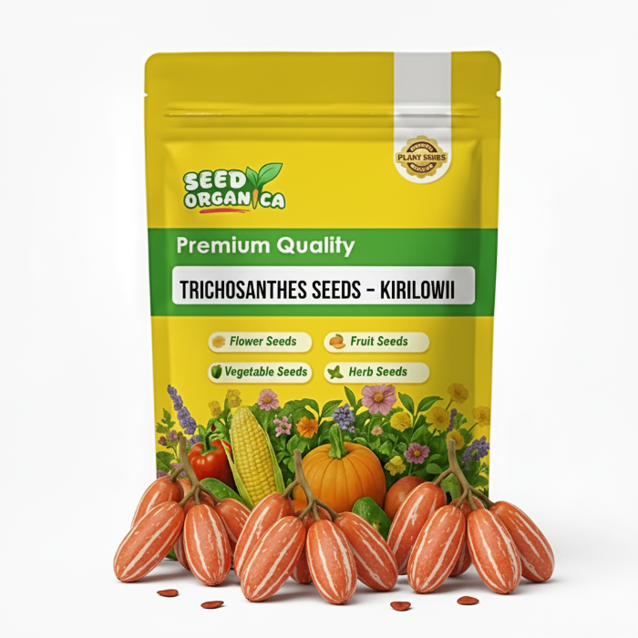 Trichosanthes Seeds – Kirilowii