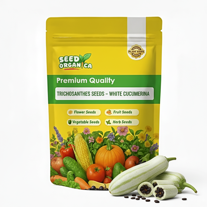 Trichosanthes Seeds – White Cucumerina