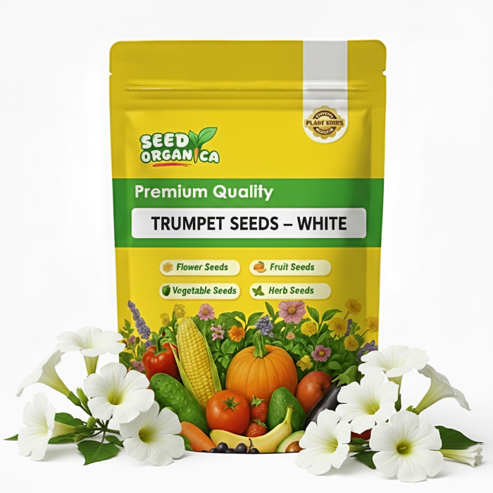 Trumpet Seeds – White