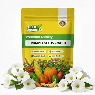Trumpet Seeds – White