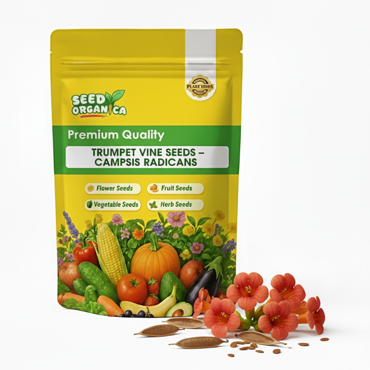 Trumpet Vine Seeds – Campsis Radicans