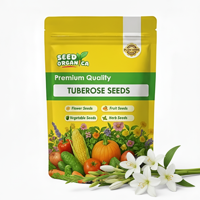 Tuberose Seeds