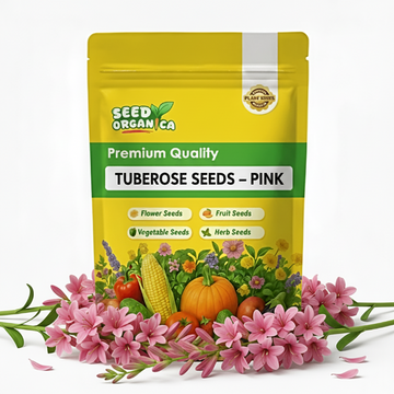 Tuberose Seeds – Pink