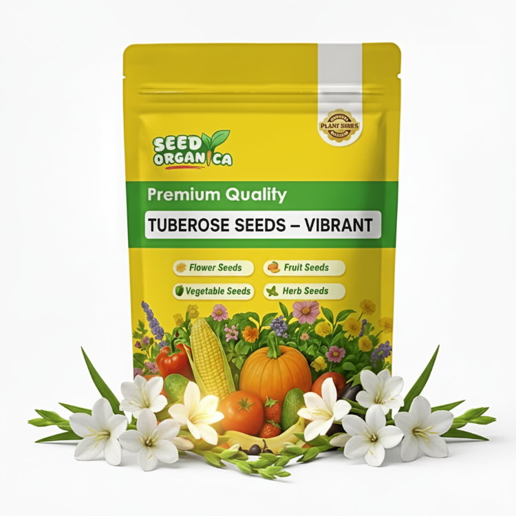 Tuberose Seeds – Vibrant
