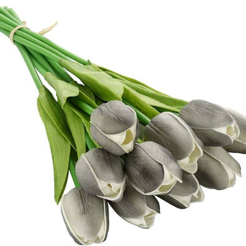 Tulip Seeds – Dark Gray 
