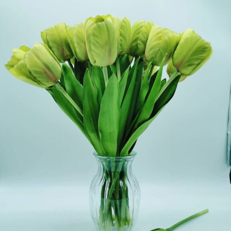 Tulip Seeds – Green