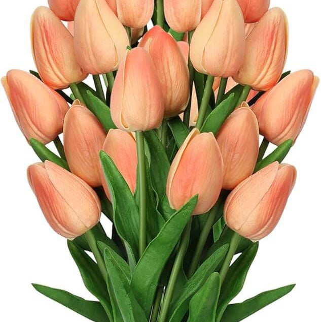 Tulip Seeds – Peach