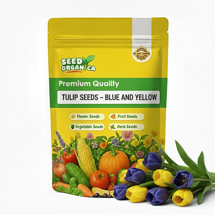Tulip Seeds – Blue and Yellow