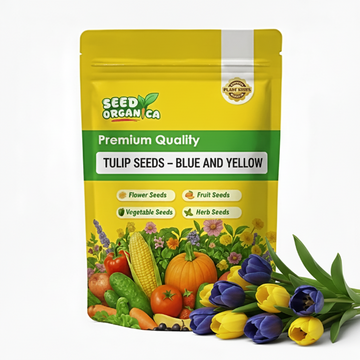 Tulip Seeds – Blue and Yellow