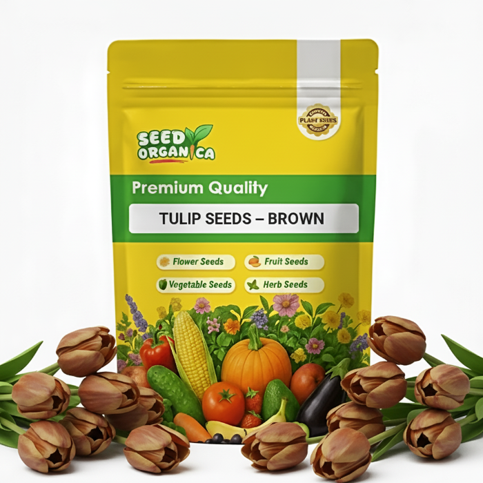 Tulip Seeds – Brown