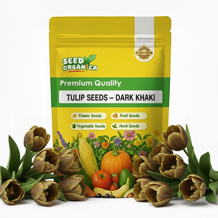 Tulip Seeds – Dark Khaki