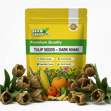 Tulip Seeds – Dark Khaki