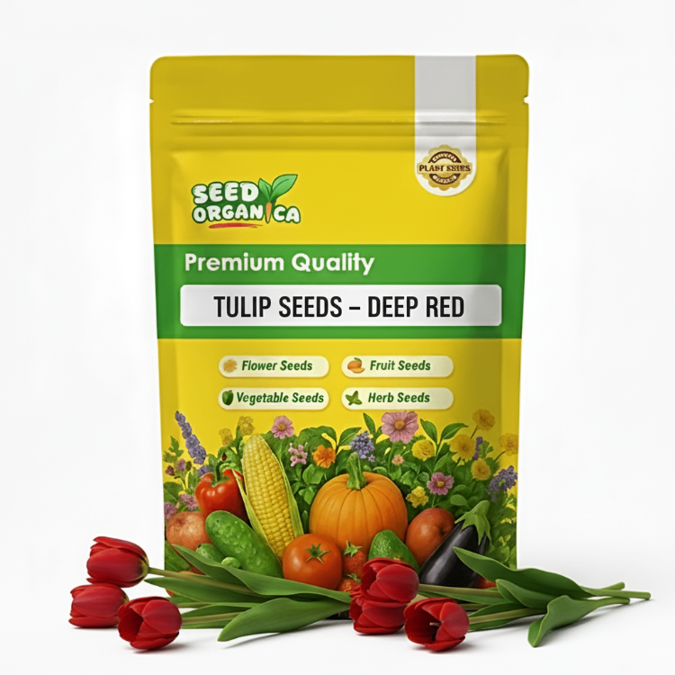 Tulip Seeds – Deep Red