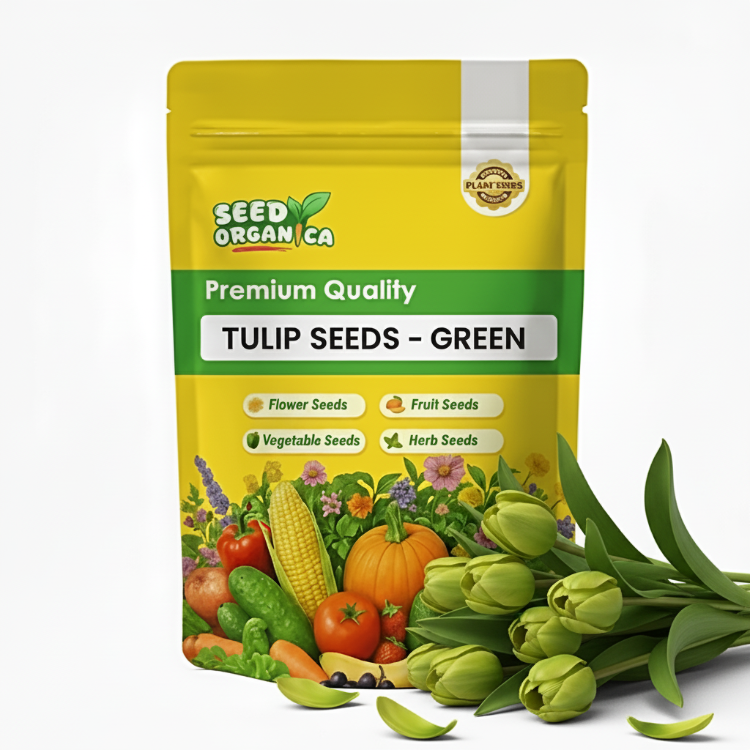 Tulip Seeds – Green