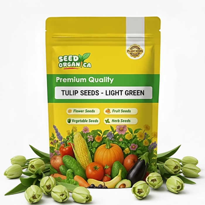 Tulip Seeds – Light Green