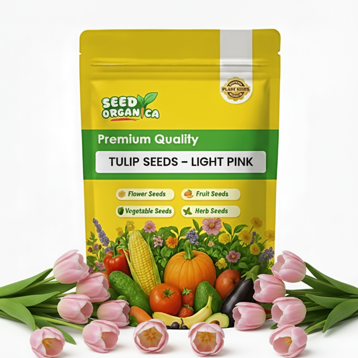 Tulip Seeds – Light Pink