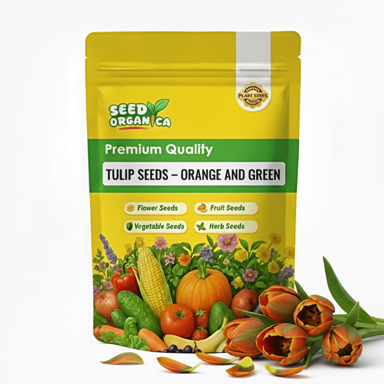 Tulip Seeds – Orange and Green