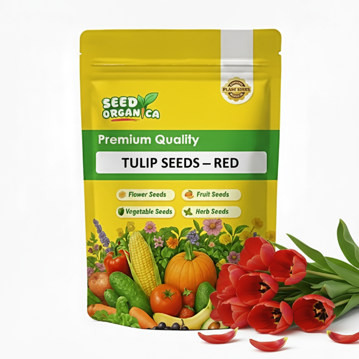 Tulip Seeds – Red