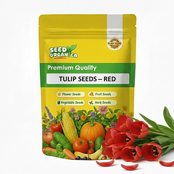 Tulip Seeds – Red