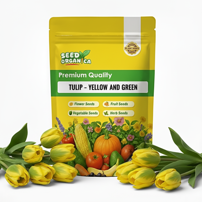 Tulip Seeds – Yellow and Green