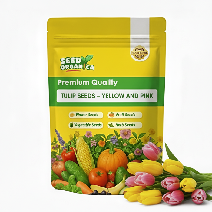 Tulip Seeds – Yellow and Pink