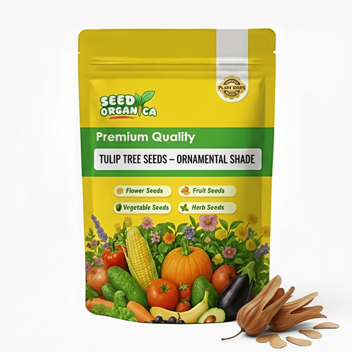 Tulip Tree Seeds – Ornamental Shade