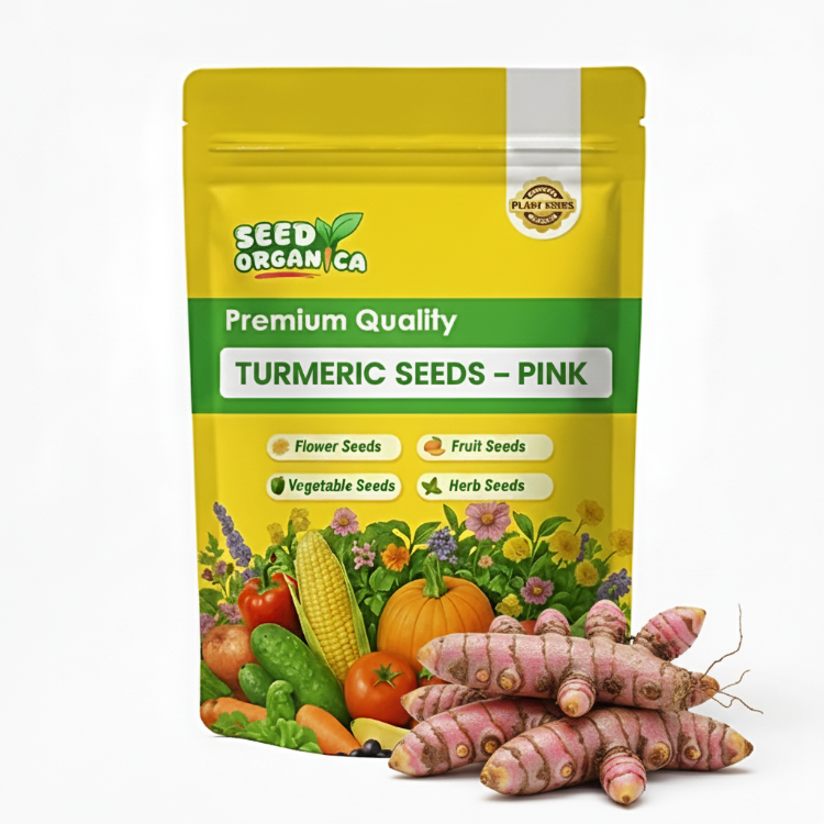 Pink Turmeric Seeds | Culinary Herb Garden Seeds