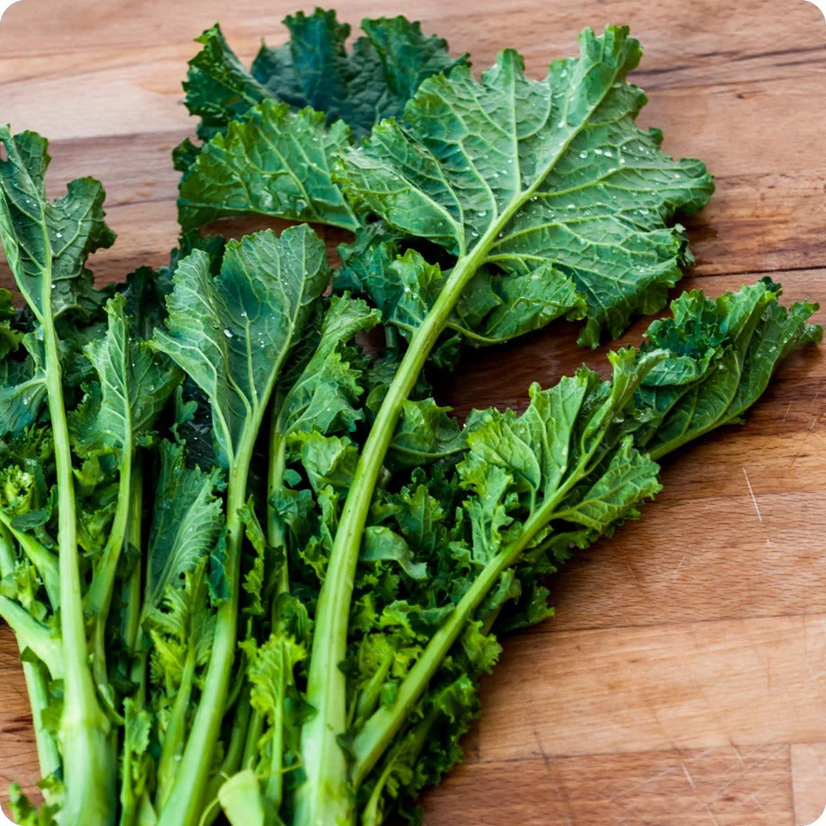 Turnip Greens Seeds