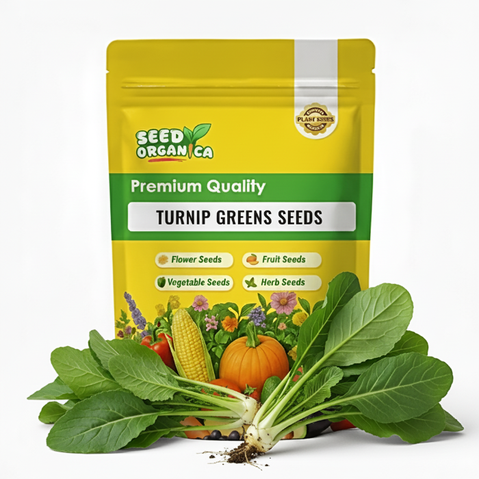 Turnip Greens Seeds