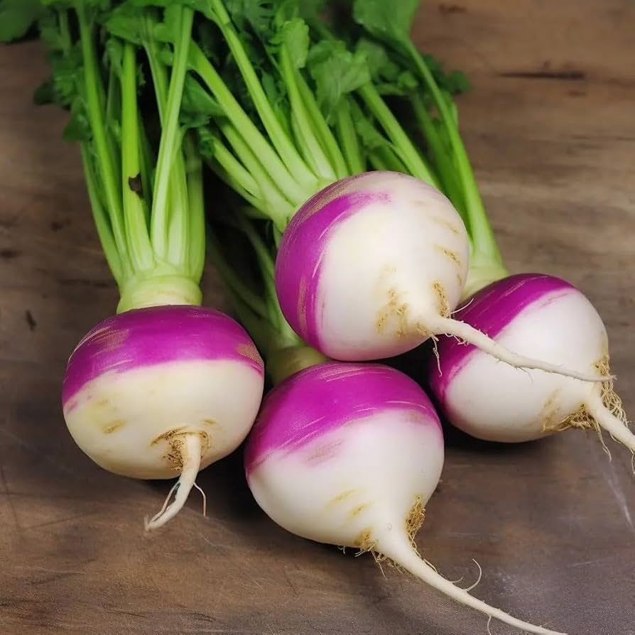 Turnip Seeds – Purple White