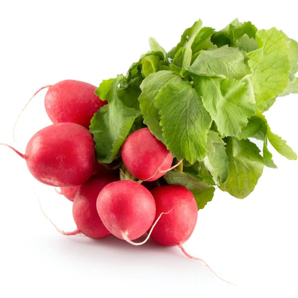 Turnip Seeds – Red