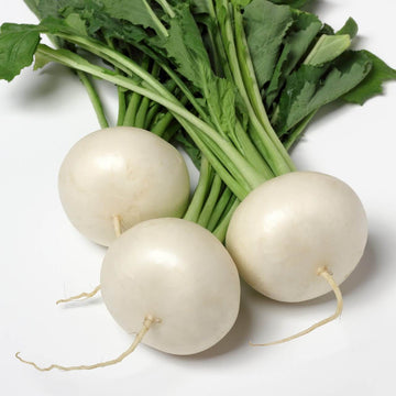 Turnip Seeds – White