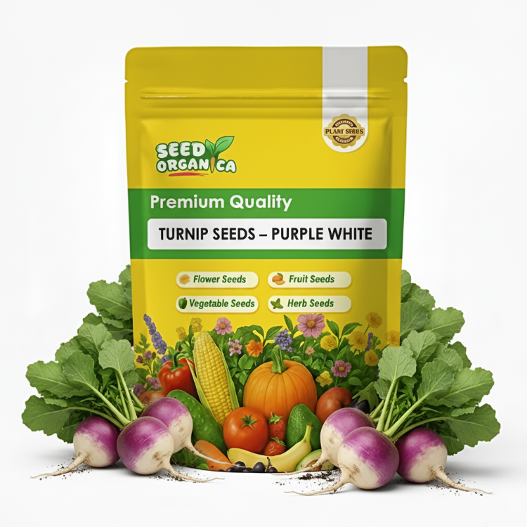 Turnip Seeds – Golden Ball