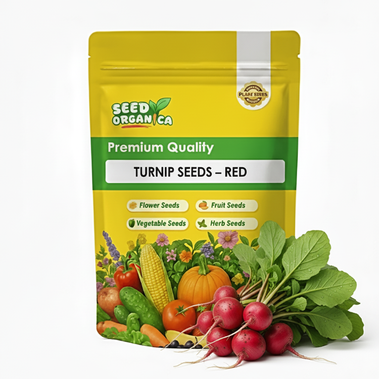Turnip Seeds – Red