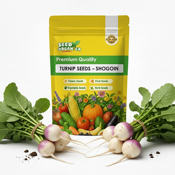 Turnip Seeds – Shogoin