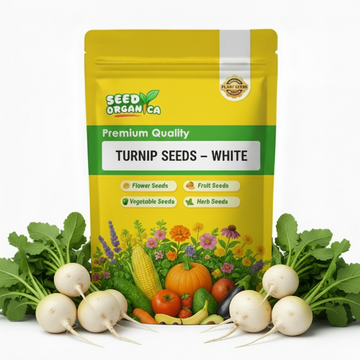 Turnip Seeds – White