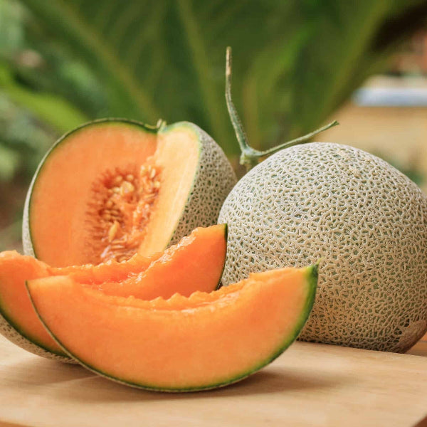 Tuscan Cantaloupe Seeds