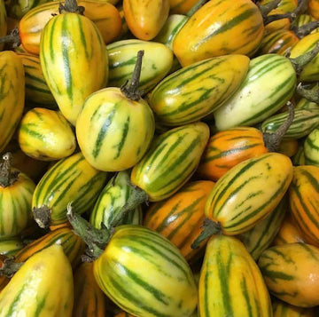 Udumalpet Eggplant Seeds