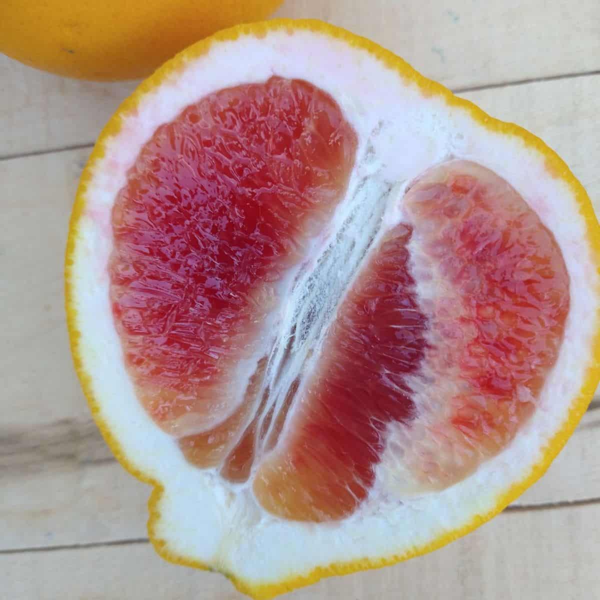 Valentine Pomelo Seeds 