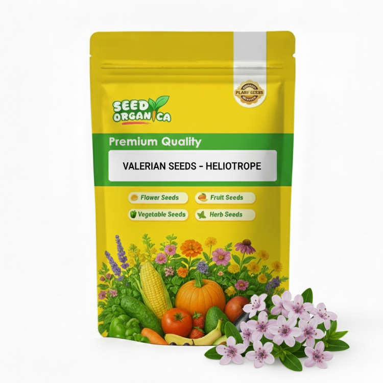 Valerian Seeds – Heliotrope