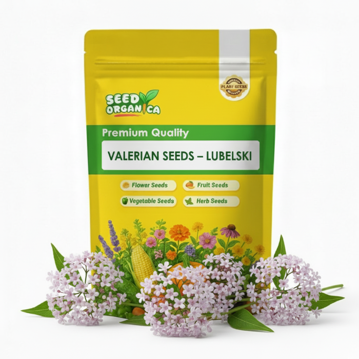 Valerian Seeds – Lubelski