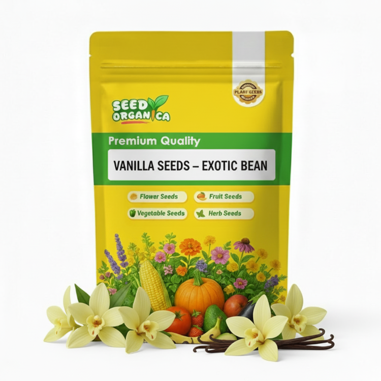 Vanilla Seeds – Exotic Bean