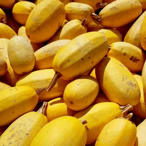 Spaghetti Squash Seeds