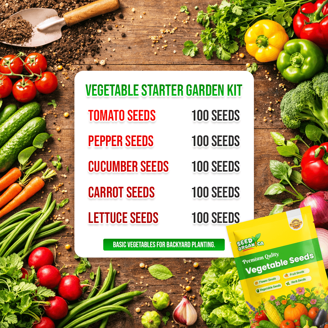 Vegetable Starter Gardens Kit