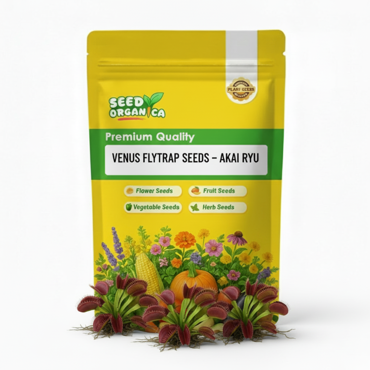 Venus Flytrap Akai Ryu Seeds | Carnivorous Plant