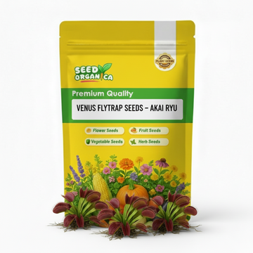 Venus Flytrap Seeds – Akai Ryu