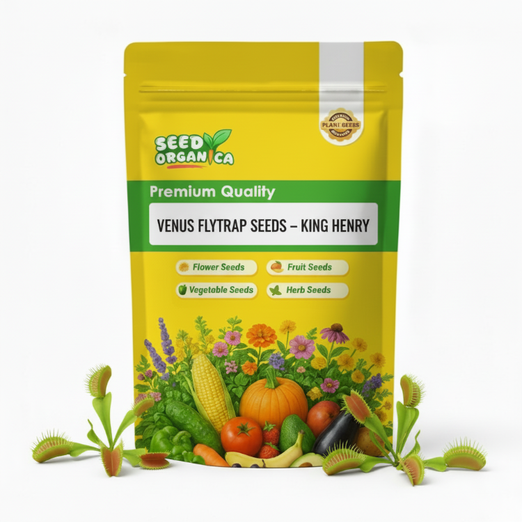 Venus Flytrap Seeds – King Henry