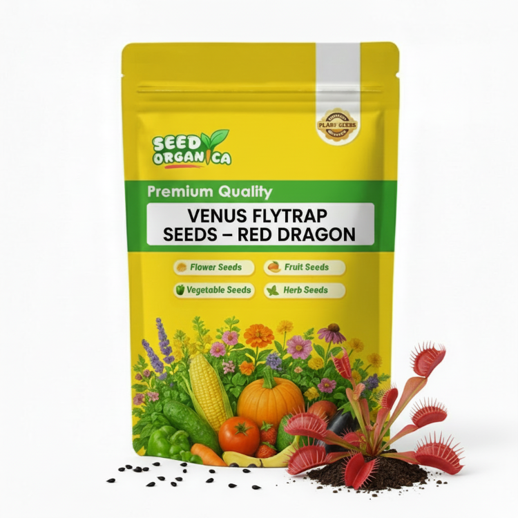 Venus Flytrap Seeds – Red Dragon